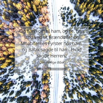 Picture 07 - 4 Mosebog 23:17 DA1871 - Og han kom til ham, og se, han stod ved sit - Bible Verse Picture