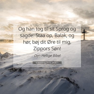 Picture 07 - 4 Mosebog 23:18 DA1871 - Og han tog til sit Sprog og sagde: Staa op, - Bible Verse Picture