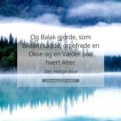 Picture 07 - 4 Mosebog 23:30 DA1871 - Og Balak gjorde, som Bileam sagde, og ofrede en - Bible Verse Picture
