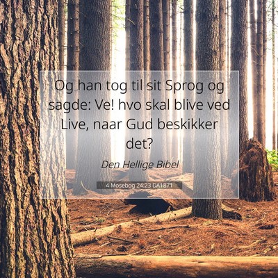 Picture 07 - 4 Mosebog 24:23 DA1871 - Og han tog til sit Sprog og sagde: Ve! hvo skal - Bible Verse Picture