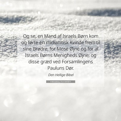 Picture 07 - 4 Mosebog 25:6 DA1871 - Og se, en Mand af Israels Børn kom og førte en - Bible Verse Picture