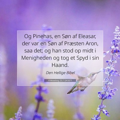 Picture 07 - 4 Mosebog 25:7 DA1871 - Og Pinehas, en Søn af Eleasar, der var en Søn - Bible Verse Picture
