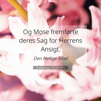 Picture 07 - 4 Mosebog 27:5 DA1871 - Og Mose fremførte deres Sag for Herrens - Bible Verse Picture