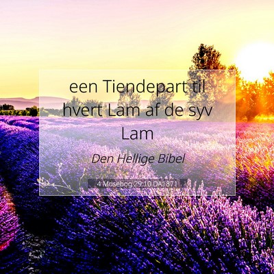 Picture 07 - 4 Mosebog 29:10 DA1871 - een Tiendepart til hvert Lam af de syv - Bible Verse Picture