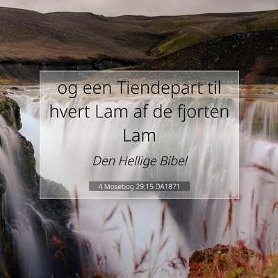 Picture 07 - 4 Mosebog 29:15 DA1871 - og een Tiendepart til hvert Lam af de fjorten - Bible Verse Picture