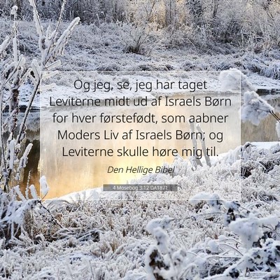 Picture 07 - 4 Mosebog 3:12 DA1871 - Og jeg, se, jeg har taget Leviterne midt ud af - Bible Verse Picture