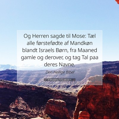 Picture 07 - 4 Mosebog 3:40 DA1871 - Og Herren sagde til Mose: Tæl alle førstefødte - Bible Verse Picture