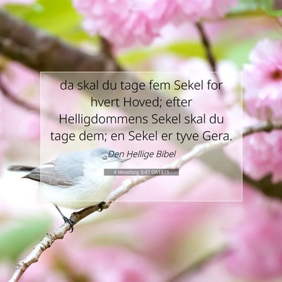 Picture 07 - 4 Mosebog 3:47 DA1871 - da skal du tage fem Sekel for hvert Hoved; efter - Bible Verse Picture