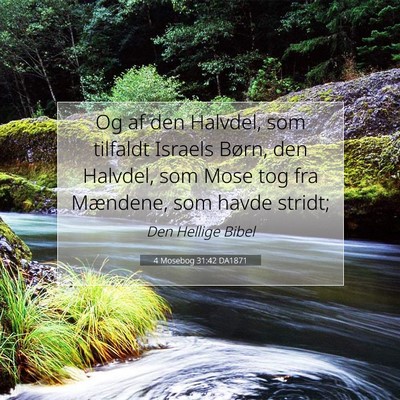 Picture 07 - 4 Mosebog 31:42 DA1871 - Og af den Halvdel, som tilfaldt Israels Børn, - Bible Verse Picture