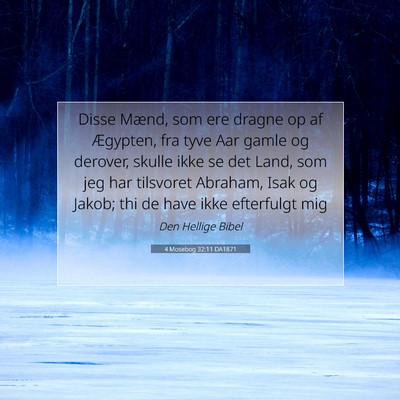 Picture 07 - 4 Mosebog 32:11 DA1871 - Disse Mænd, som ere dragne op af Ægypten, fra - Bible Verse Picture