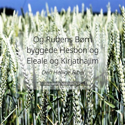 Picture 07 - 4 Mosebog 32:37 DA1871 - Og Rubens Børn byggede Hesbon og Eleale og - Bible Verse Picture