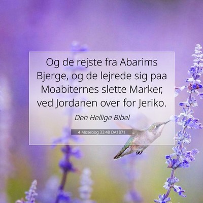 Picture 07 - 4 Mosebog 33:48 DA1871 - Og de rejste fra Abarims Bjerge, og de lejrede - Bible Verse Picture