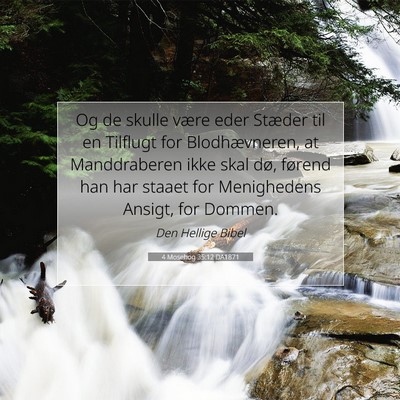 Picture 07 - 4 Mosebog 35:12 DA1871 - Og de skulle være eder Stæder til en Tilflugt - Bible Verse Picture