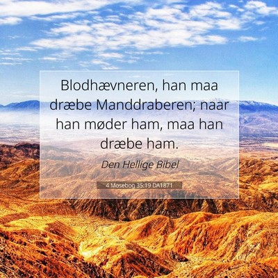 Picture 07 - 4 Mosebog 35:19 DA1871 - Blodhævneren, han maa dræbe Manddraberen; naar - Bible Verse Picture