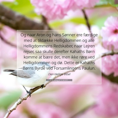 Picture 07 - 4 Mosebog 4:15 DA1871 - Og naar Aron og hans Sønner ere færdige med at - Bible Verse Picture