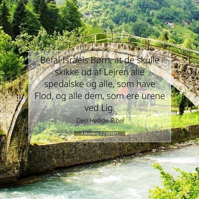 Picture 07 - 4 Mosebog 5:2 DA1871 - Befal Israels Børn, at de skulle skikke ud af - Bible Verse Picture