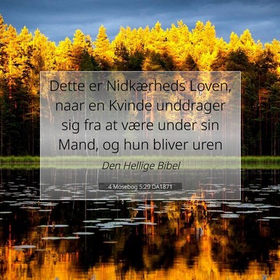 Picture 07 - 4 Mosebog 5:29 DA1871 - Dette er Nidkærheds Loven, naar en Kvinde - Bible Verse Picture