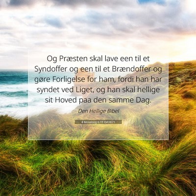 Picture 07 - 4 Mosebog 6:11 DA1871 - Og Præsten skal lave een til et Syndoffer og een - Bible Verse Picture