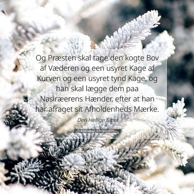Picture 07 - 4 Mosebog 6:19 DA1871 - Og Præsten skal tage den kogte Bov af Væderen - Bible Verse Picture