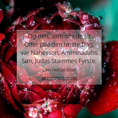 Picture 07 - 4 Mosebog 7:12 DA1871 - Og den, som ofrede sit Offer paa den første Dag, - Bible Verse Picture