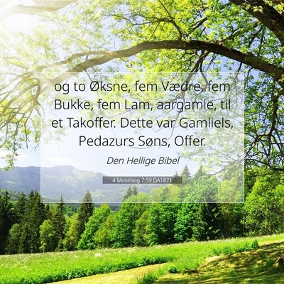 Picture 07 - 4 Mosebog 7:59 DA1871 - og to Øksne, fem Vædre, fem Bukke, fem Lam, - Bible Verse Picture