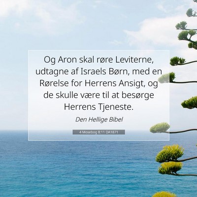 Picture 07 - 4 Mosebog 8:11 DA1871 - Og Aron skal røre Leviterne, udtagne af Israels - Bible Verse Picture