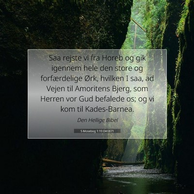 Picture 07 - 5 Mosebog 1:19 DA1871 - Saa rejste vi fra Horeb og gik igennem hele den - Bible Verse Picture