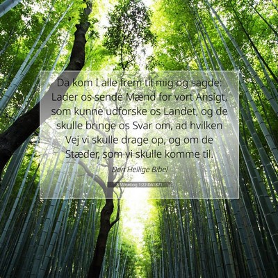 Picture 07 - 5 Mosebog 1:22 DA1871 - Da kom I alle frem til mig og sagde: Lader os - Bible Verse Picture