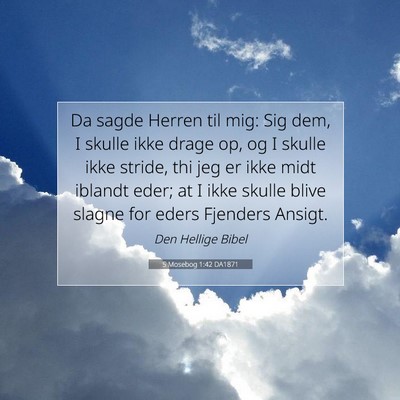 Picture 07 - 5 Mosebog 1:42 DA1871 - Da sagde Herren til mig: Sig dem, I skulle ikke - Bible Verse Picture
