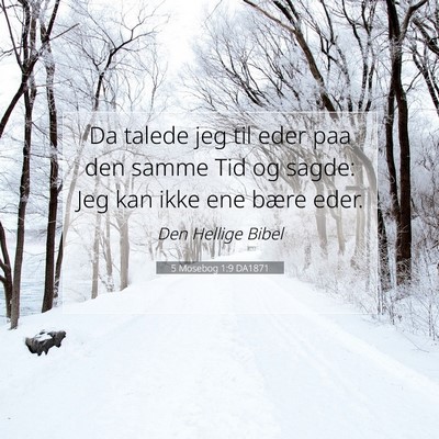 Picture 07 - 5 Mosebog 1:9 DA1871 - Da talede jeg til eder paa den samme Tid og - Bible Verse Picture