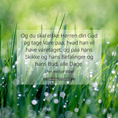 Picture 07 - 5 Mosebog 11:1 DA1871 - Og du skal elske Herren din Gud og tage Vare paa, - Bible Verse Picture