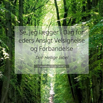 Picture 07 - 5 Mosebog 11:26 DA1871 - Se, jeg lægger i Dag for eders Ansigt - Bible Verse Picture
