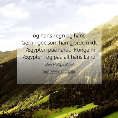 Picture 07 - 5 Mosebog 11:3 DA1871 - og hans Tegn og hans Gerninger, som han gjorde - Bible Verse Picture