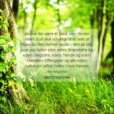 Picture 07 - 5 Mosebog 12:11 DA1871 - da skal der være et Sted, som Herren eders Gud - Bible Verse Picture