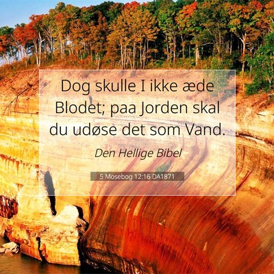 Picture 07 - 5 Mosebog 12:16 DA1871 - Dog skulle I ikke æde Blodet; paa Jorden skal du - Bible Verse Picture