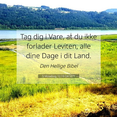 Picture 07 - 5 Mosebog 12:19 DA1871 - Tag dig i Vare, at du ikke forlader Leviten, alle - Bible Verse Picture