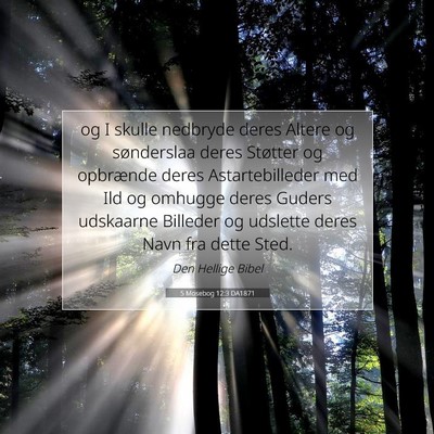 Picture 07 - 5 Mosebog 12:3 DA1871 - og I skulle nedbryde deres Altere og sønderslaa - Bible Verse Picture