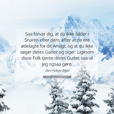 Picture 07 - 5 Mosebog 12:30 DA1871 - Saa forvar dig, at du ikke falder i Snaren efter - Bible Verse Picture