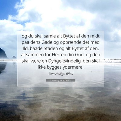 Picture 07 - 5 Mosebog 13:16 DA1871 - og du skal samle alt Byttet af den midt paa dens - Bible Verse Picture