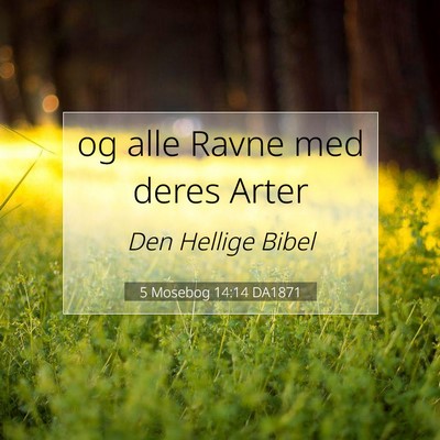 Picture 07 - 5 Mosebog 14:14 DA1871 - og alle Ravne med deres - Bible Verse Picture