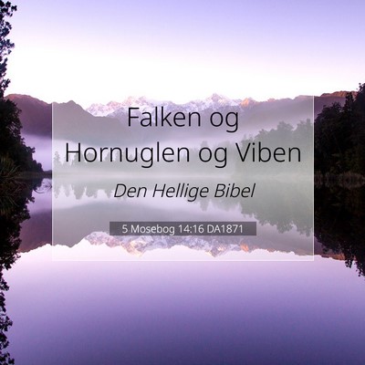 Picture 07 - 5 Mosebog 14:16 DA1871 - Falken og Hornuglen og - Bible Verse Picture