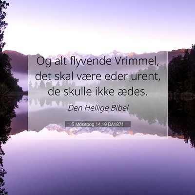 Picture 07 - 5 Mosebog 14:19 DA1871 - Og alt flyvende Vrimmel, det skal være eder - Bible Verse Picture