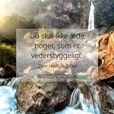 Picture 07 - 5 Mosebog 14:3 DA1871 - Du skal ikke æde noget, som er - Bible Verse Picture