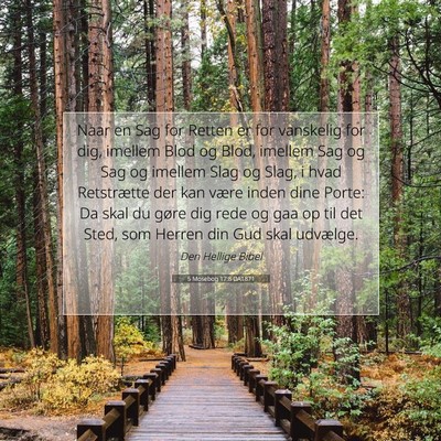 Picture 07 - 5 Mosebog 17:8 DA1871 - Naar en Sag for Retten er for vanskelig for dig, - Bible Verse Picture