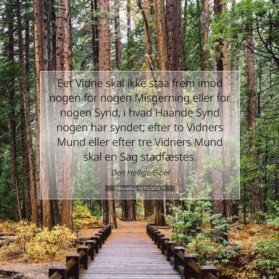 Picture 07 - 5 Mosebog 19:15 DA1871 - Eet Vidne skal ikke staa frem imod nogen for - Bible Verse Picture