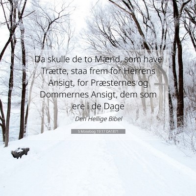 Picture 07 - 5 Mosebog 19:17 DA1871 - Da skulle de to Mænd, som have Trætte, staa - Bible Verse Picture