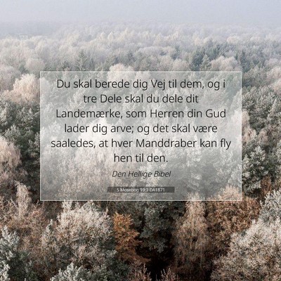 Picture 07 - 5 Mosebog 19:3 DA1871 - Du skal berede dig Vej til dem, og i tre Dele - Bible Verse Picture