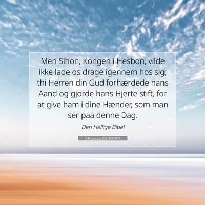 Picture 07 - 5 Mosebog 2:30 DA1871 - Men Sihon, Kongen i Hesbon, vilde ikke lade os - Bible Verse Picture