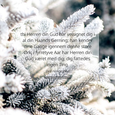 Picture 07 - 5 Mosebog 2:7 DA1871 - thi Herren din Gud har velsignet dig i al din - Bible Verse Picture