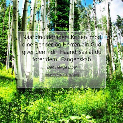Picture 07 - 5 Mosebog 21:10 DA1871 - Naar du uddrager i Krigen imod dine Fjender, og - Bible Verse Picture